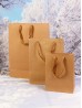 Brown kraft paper gift bags. W/ cardboard on bottom and  cloth rope handles (12Pcs) 16.5"